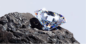 Wholesale Excellence